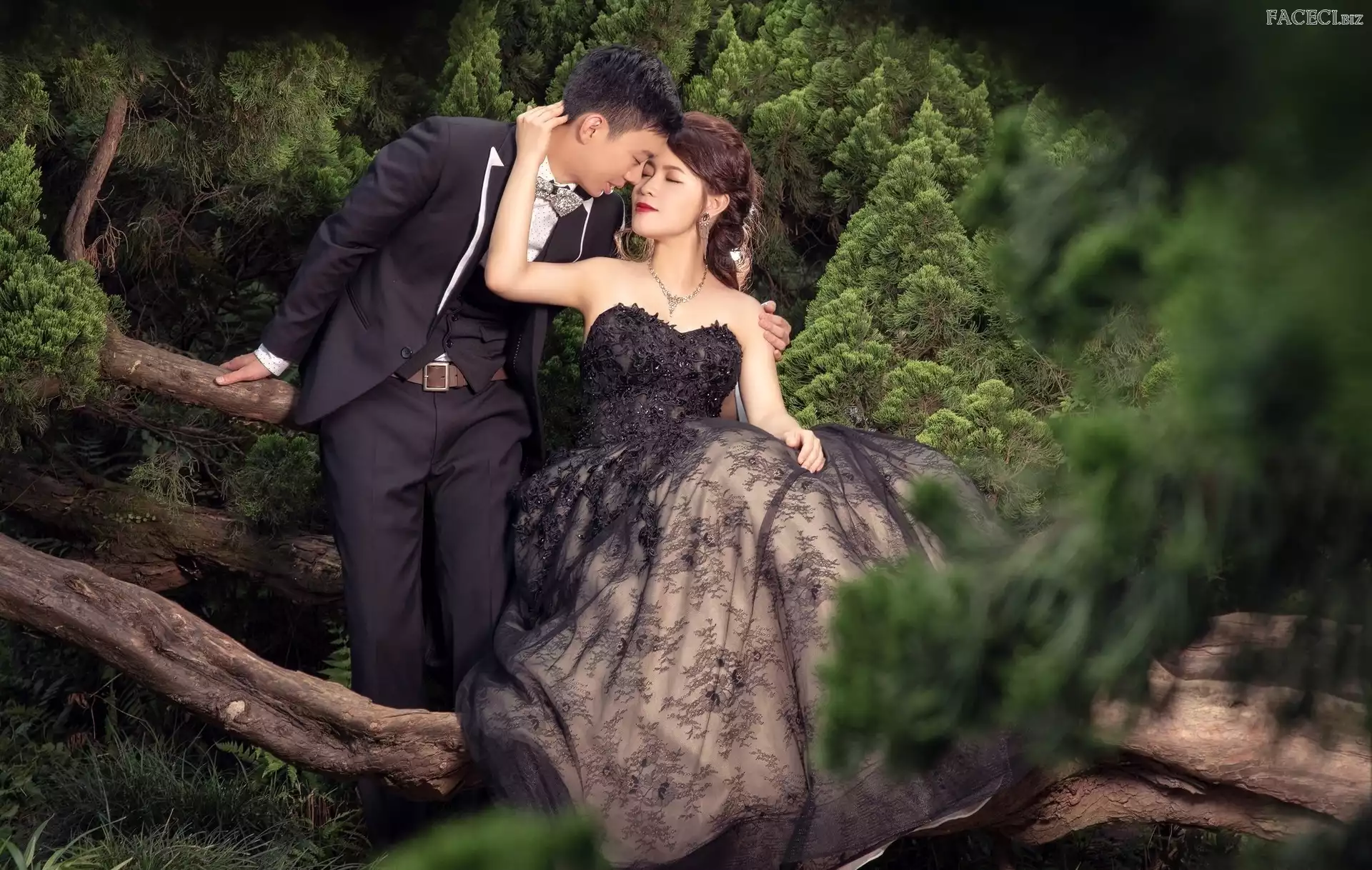 Suknia, Kobieta, Drzewa, Konary, Czarna, Mężczyzna
